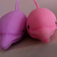 DelfinekPLreal