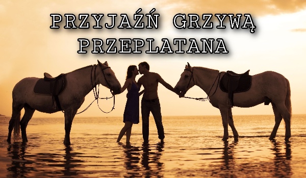 Przyjaźń grzywą przeplatana |rozdział 6