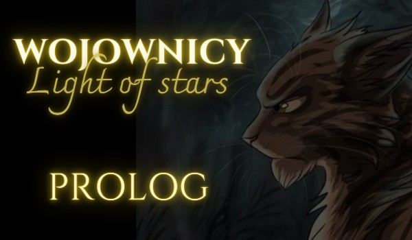 Wojownicy – Light of stars – Prolog