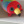 Fuzia