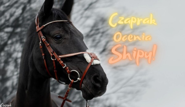 Oceniam shipy z mojej klasy! #2