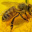 Honey2