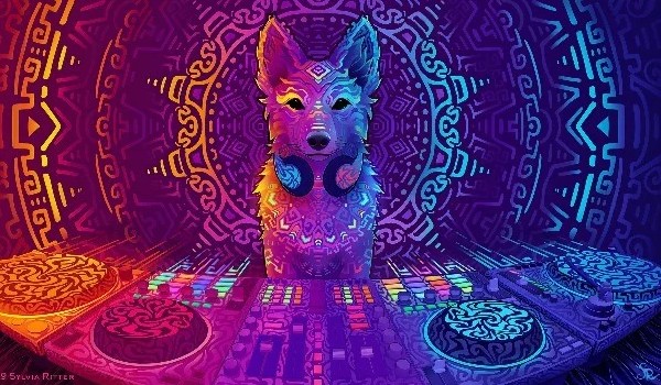 Quiz Tomek Łebski 2