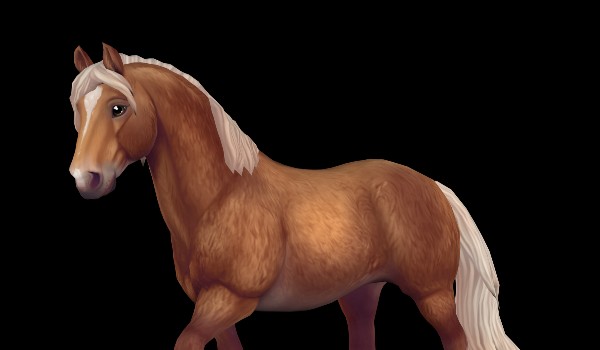 Nowości ze star stable! ;)