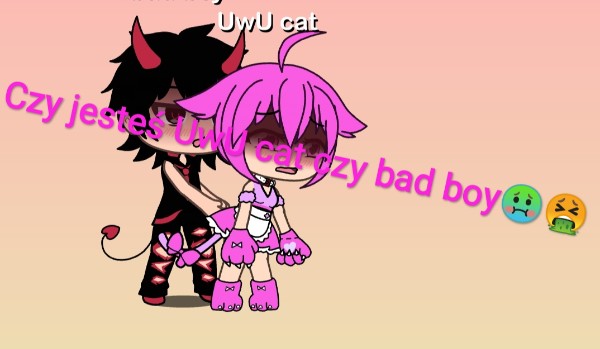 Czy jesteś UwU cat czy bad boy?
