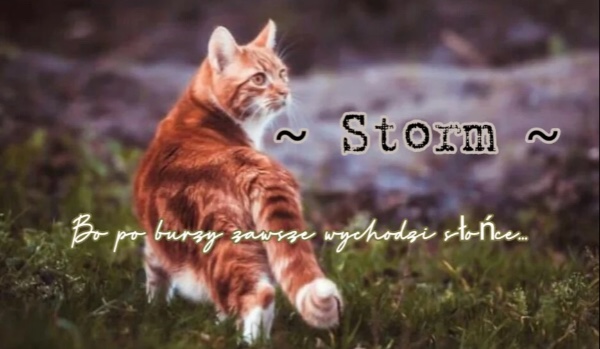 ~Storm~ [Part Four]