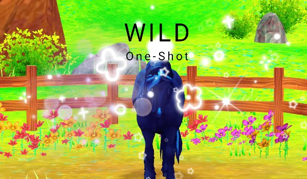 WILD One-Shot