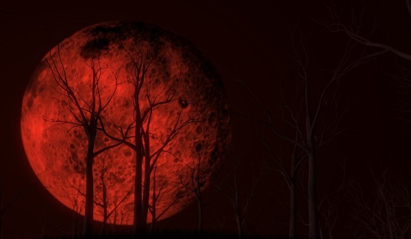 Bloody Moon {Chapter One}