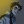 William_