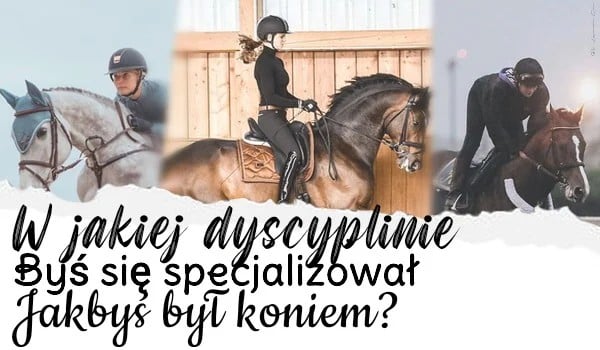 W jakiej dyscyplinie byś się specjalizował jakbyś był koniem?