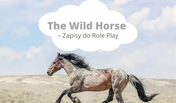 The Wild Horse – Zapisy do Role Play
