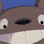 TwojSasiadTotoro