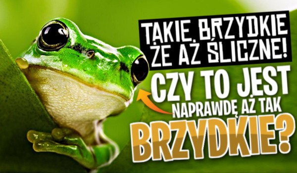 Takie brzydkie, że aż śliczne! Czy to jest naprawdę aż tak brzydkie?