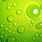 GreenQuiz