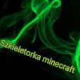 Szkieletorka.mc_123
