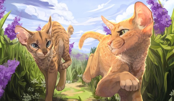 Wyniki zapisów z MiniMakera z Wojowników!