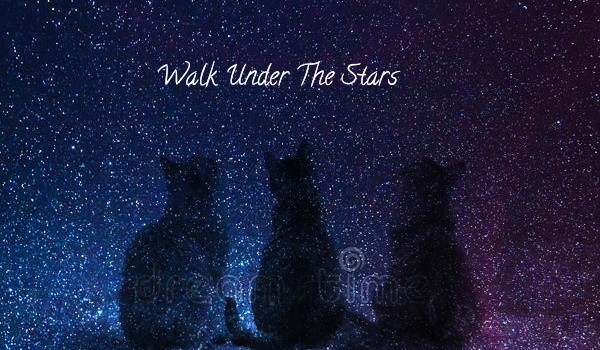 Zapisy do opo: ”Walk Under The Stars”