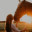 rain.horse