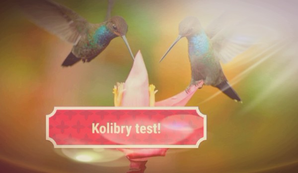 Test o kolibrach!