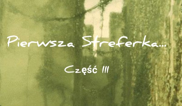 Pierwsza Streferka… /Część III