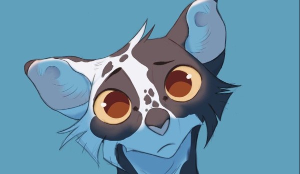 Pełnia. Rozdział 9