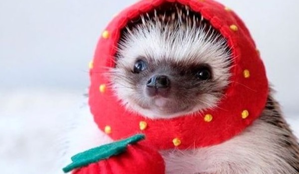 Test o Mercy (Dla Cheryl)