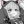 .._-Alice-_..