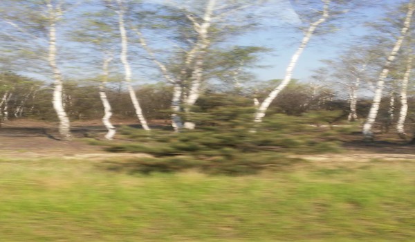 Jura Krakowsko-częstochowska