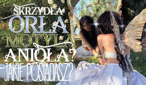 Skrzydła orła, motyla czy anioła? – Jakie skrzydła posiadasz?