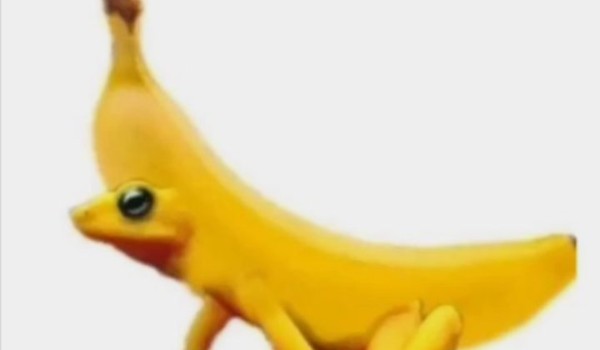 Test na mojego przyjeciela