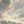 __Hach1ko__