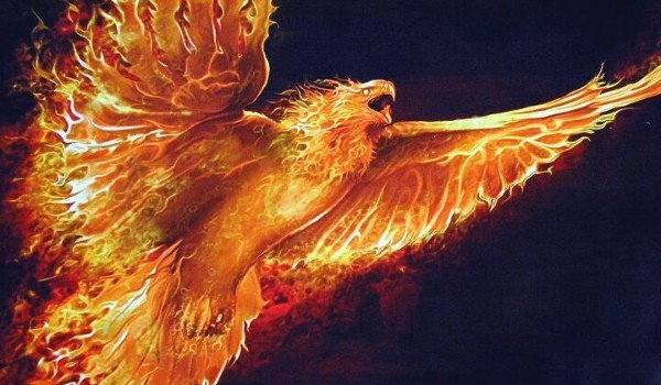 Transformers Prime | Płomienne Dwukolorowe Feniksy 1