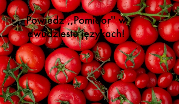 Powiedz ,,Pomidor” w dziesięciu językach!
