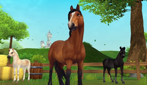 Star Stable horses.