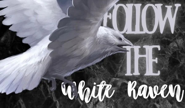 Follow the White Raven ~ Rozdział V • Dziwne Spotkanie •