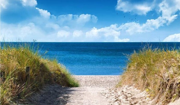 talksy-baśnibór 15