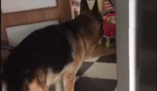 Ocenianie profilu @gahyeonje