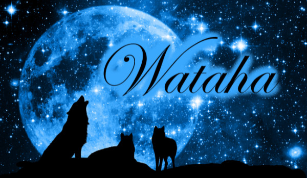 ~Wataha~ Rozdział 1