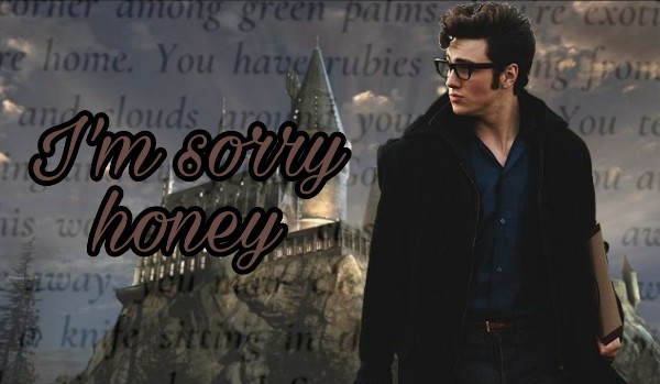 I’m sorry honey | James Potter | one shot