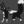 WArriorsCats.-.