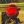 Esportowa_Owcae
