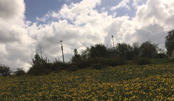 30 dni moich outfitów. 4