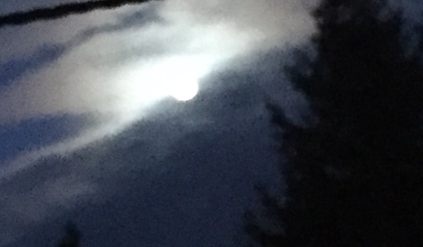 Konkurs graficzny wyniki