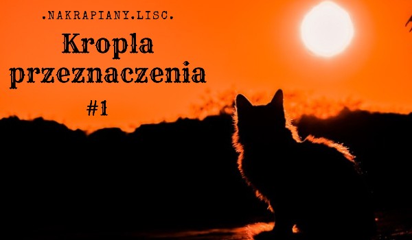 Kropla Przeznaczenia #1
