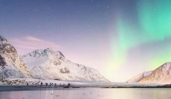 Transformers Prime | ZEMSTA