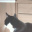 Kicia33222
