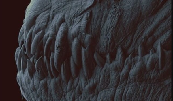 Transformers Prime | Lewiatan