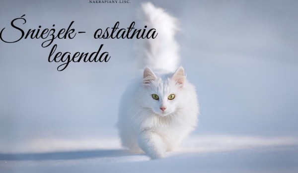 Śnieżek- ostatnia legenda #2