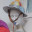 Meowzard
