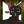 Mint._Paw.